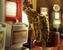 乌龟也玩老虎机