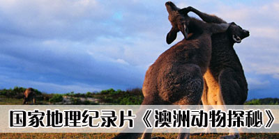 �������ҵ�����¼Ƭ�����޶���̽�ء�