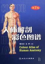 <em>人体解剖</em>彩色<em>图谱</em>(精)_文化读书频道_新浪网