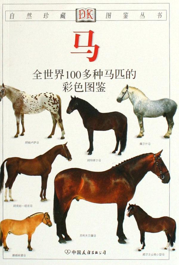 cover_462762_large.jpg