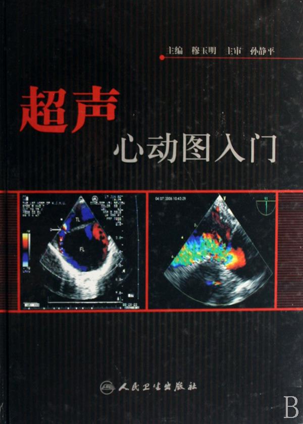 超声心动图入门(精)