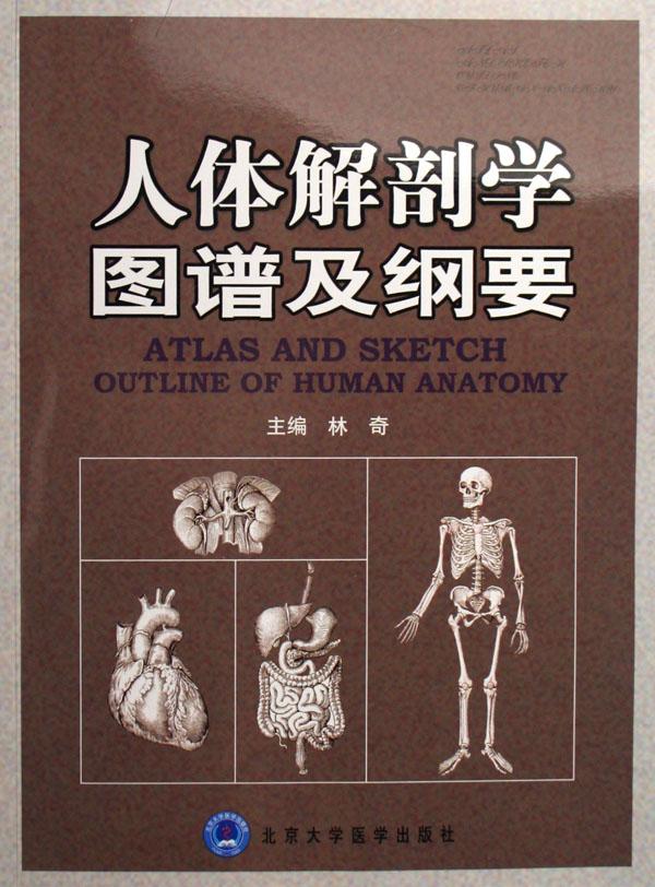 <em>人体解剖学图谱</em>及纲要_文化读书频道_新浪网