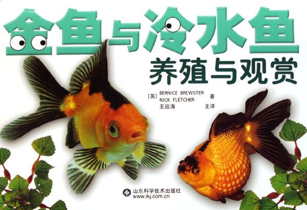 金鱼与冷水观赏鱼的养殖_文化读书频道_新浪