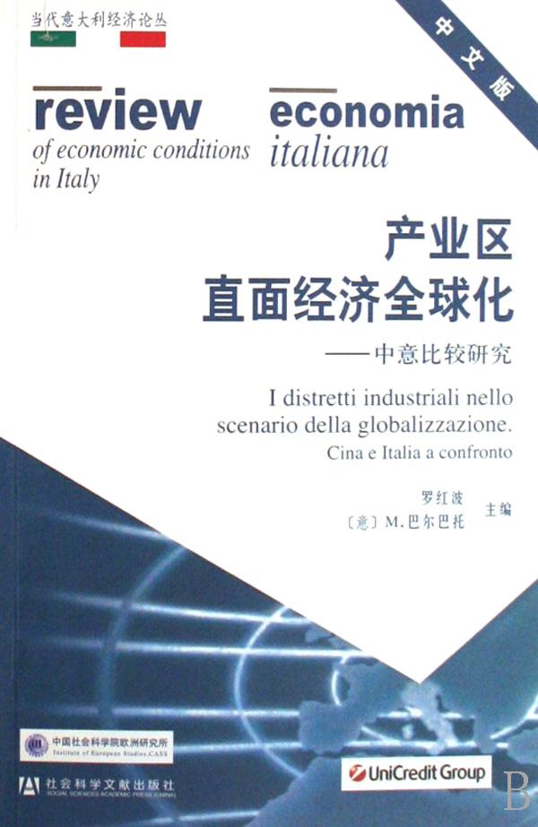 产业区直面经济全球化--中意比较研究(中文版)