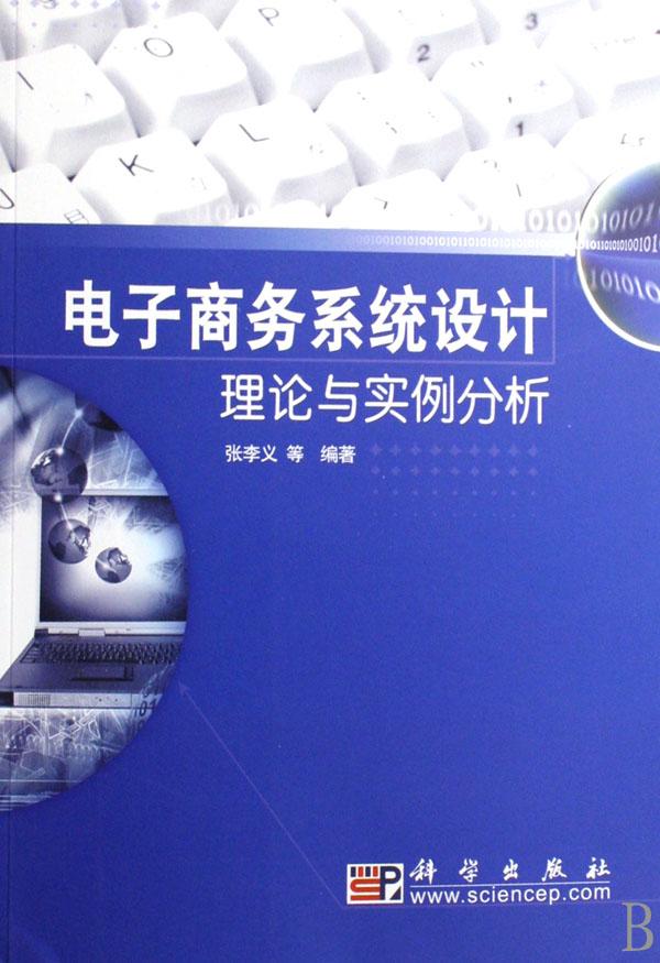 电子商务系统设计理论与实例分析