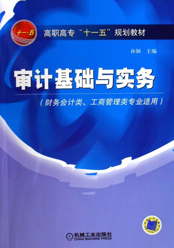 审计基础与实务(财务会计类工商管理类专业适