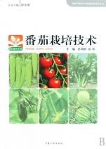 cover_736911_494_big.jpg