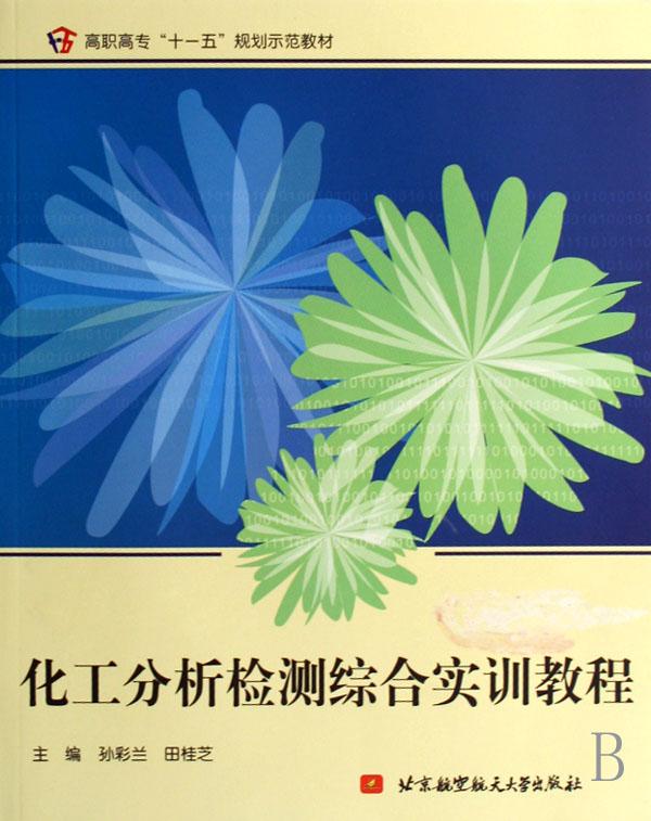 化工分析检测综合实训教程(高职高专十一五规
