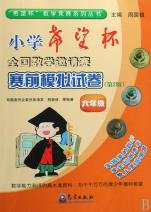 小学希望杯全国数学邀请赛赛前模拟试卷(6年级