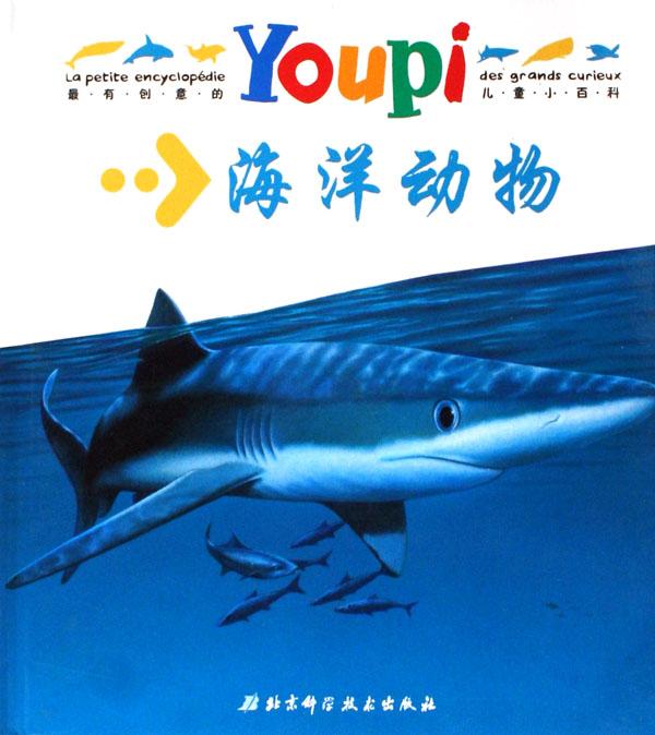 海洋动物排名_海洋动物简笔画(2)