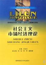 社会主义市场经济_社会主义市场经济需要全面矫正实践方式 察网(2)