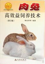 cover_837738_117_big.jpg