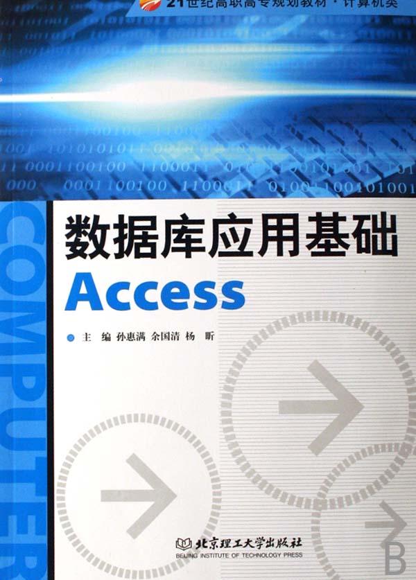数据库应用基础access(计算机类21世纪高职高