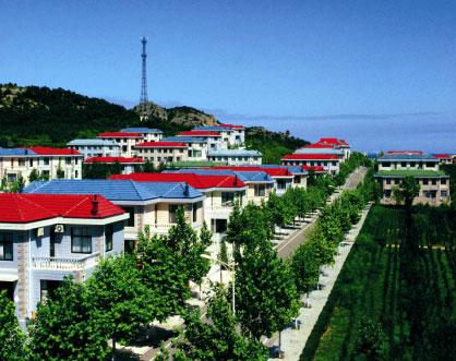 西霞口集团高层谈如何缔造新农村建设奇迹