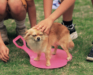 日常用品妙用(图)_家庭妙招:生活小窍门1500招