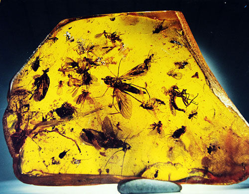 中国人席卷全球琥珀市场