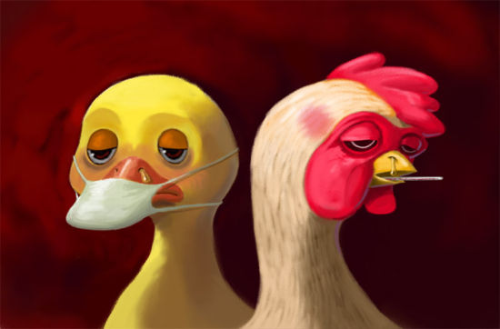 һֻǧڵĹ