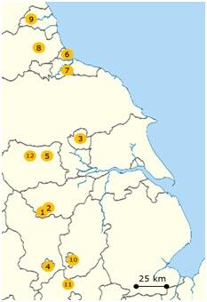 东米德兰核产业集群