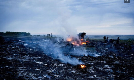MH17¼Ӧ