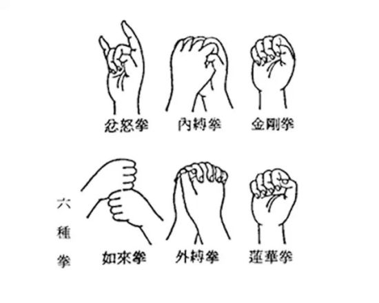 ▲ 六种拳 ▲ 六种拳