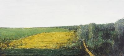 沃原 50×110厘米 李晓伟(入选作品) 沃原 50×110厘米 李晓伟(入选作品)