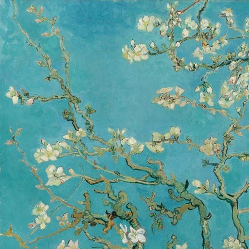 文森特·梵高,杏花(1890年) 图文: vangogh museum.nl 文森特·梵高,杏花(1890年) 图文:vangogh museum.nl