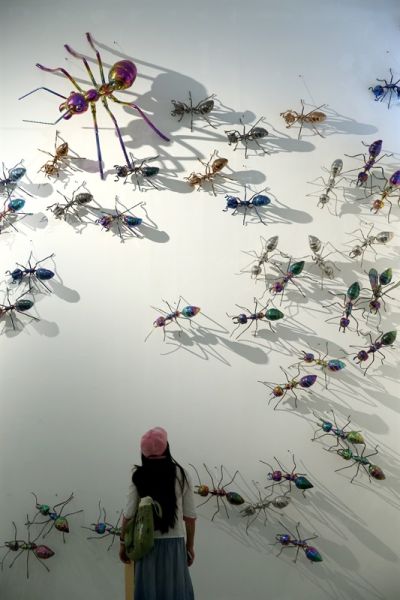 展览现场 展览现场