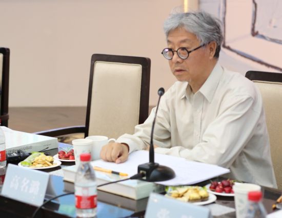 高名潞发言 高名潞发言