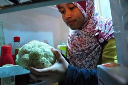 Risna Hermanto的摄影作品