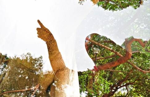 Risna Hermanto的摄影作品