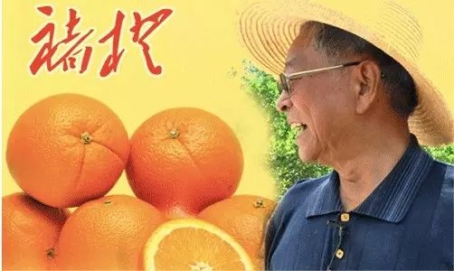 原红塔山老总_红塔山烟