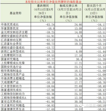 股灾满四月基金命不同(名单)_手机新浪网
