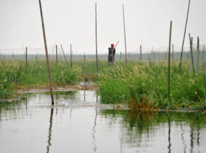 洞庭湖养殖业急进.群众没水喝