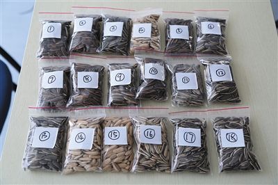 对18种瓜子样品标号。
