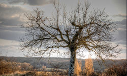 为何有人要出4倍价买PE大股？