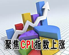 ʮ�󾭼�ѧ�Ұ�����۾���