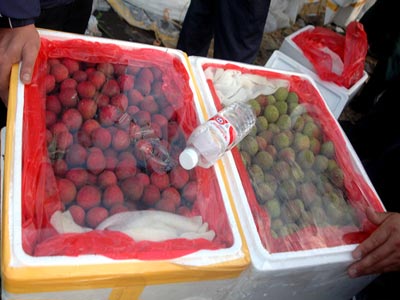 长春半数荔枝用硫酸水保鲜 毒荔枝可灼伤消化