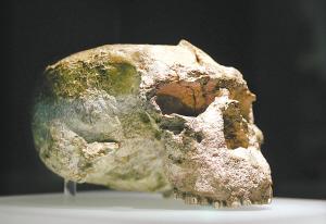 湖北省博物馆4件镇馆之宝同时亮相(图)_青铜器