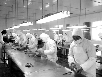 [图文]农家兔跳出国门赚外币 山东沂源县依托标