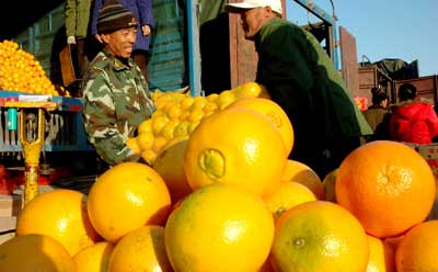 早熟橙子上市_国内财经