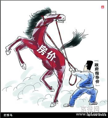 南京市政府调控房价引发争论