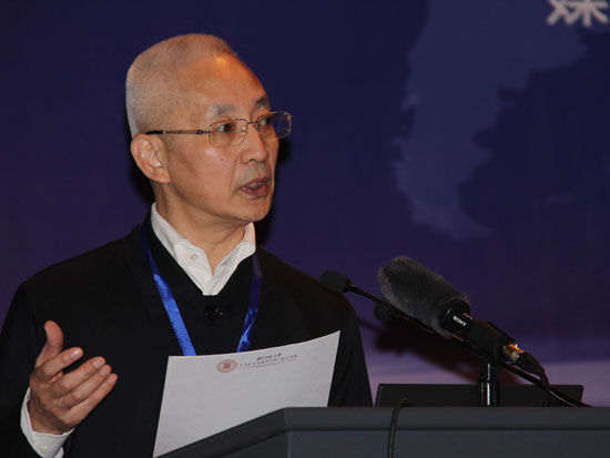 北师大国际金融研究所所长