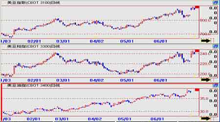 2007年下半年农产品期货投资分析报告_品种研
