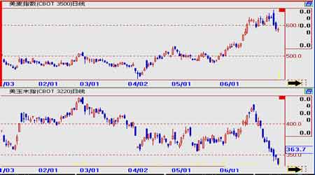 2007年下半年农产品期货投资分析报告_品种研