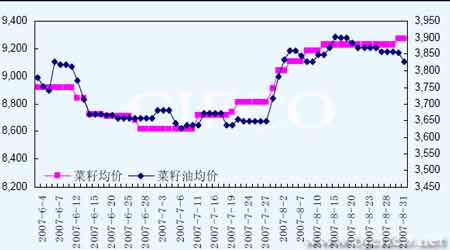 市場研究：油品替代競爭加劇菜油弱勢震蕩