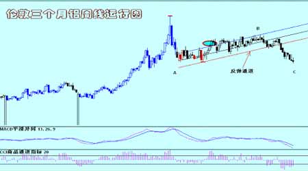 ��Ԫ�����������֧�Ž������屣������̬��(4)