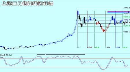 ��Ԫ�����������֧�Ž������屣������̬��(4)