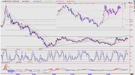 ֣���г�ȱ������ȴ�������ı任