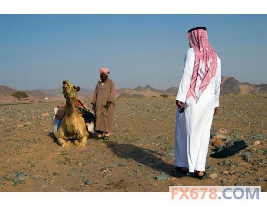 沙特迫于低油价压力提高水价削减财政?