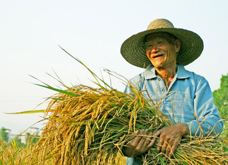 农业保险产品实现全面升级